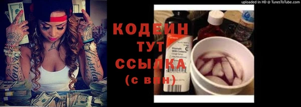 прущие грибы Кодинск