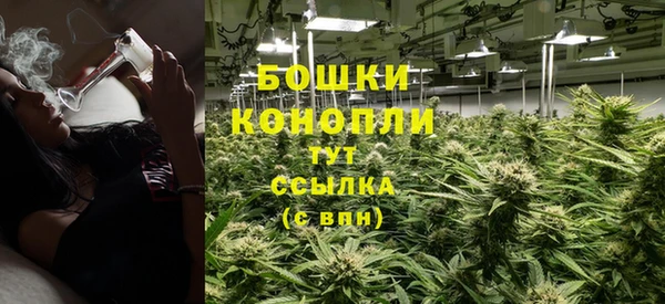 прущие грибы Кодинск