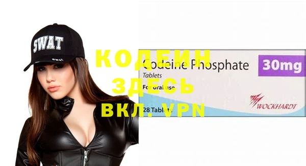прущие грибы Кодинск