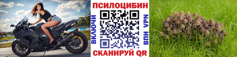 Купить закладки  Камешково  Галлюциногенные грибы прущие грибы 